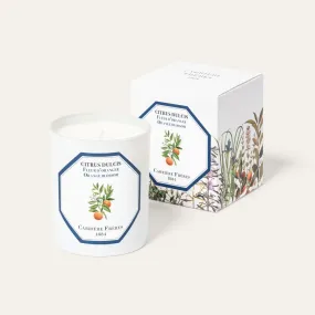 Citrus Dulcis - Orange Blossom Candle