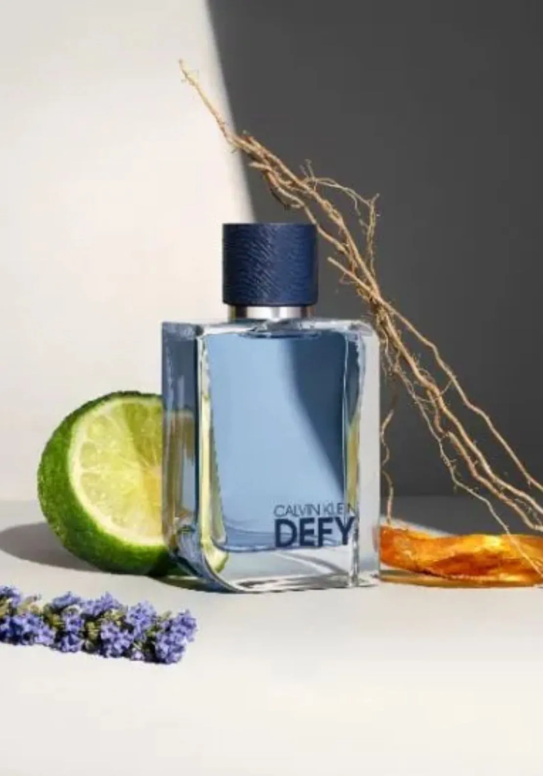 Ck Defy Eau de Toilette 100ml