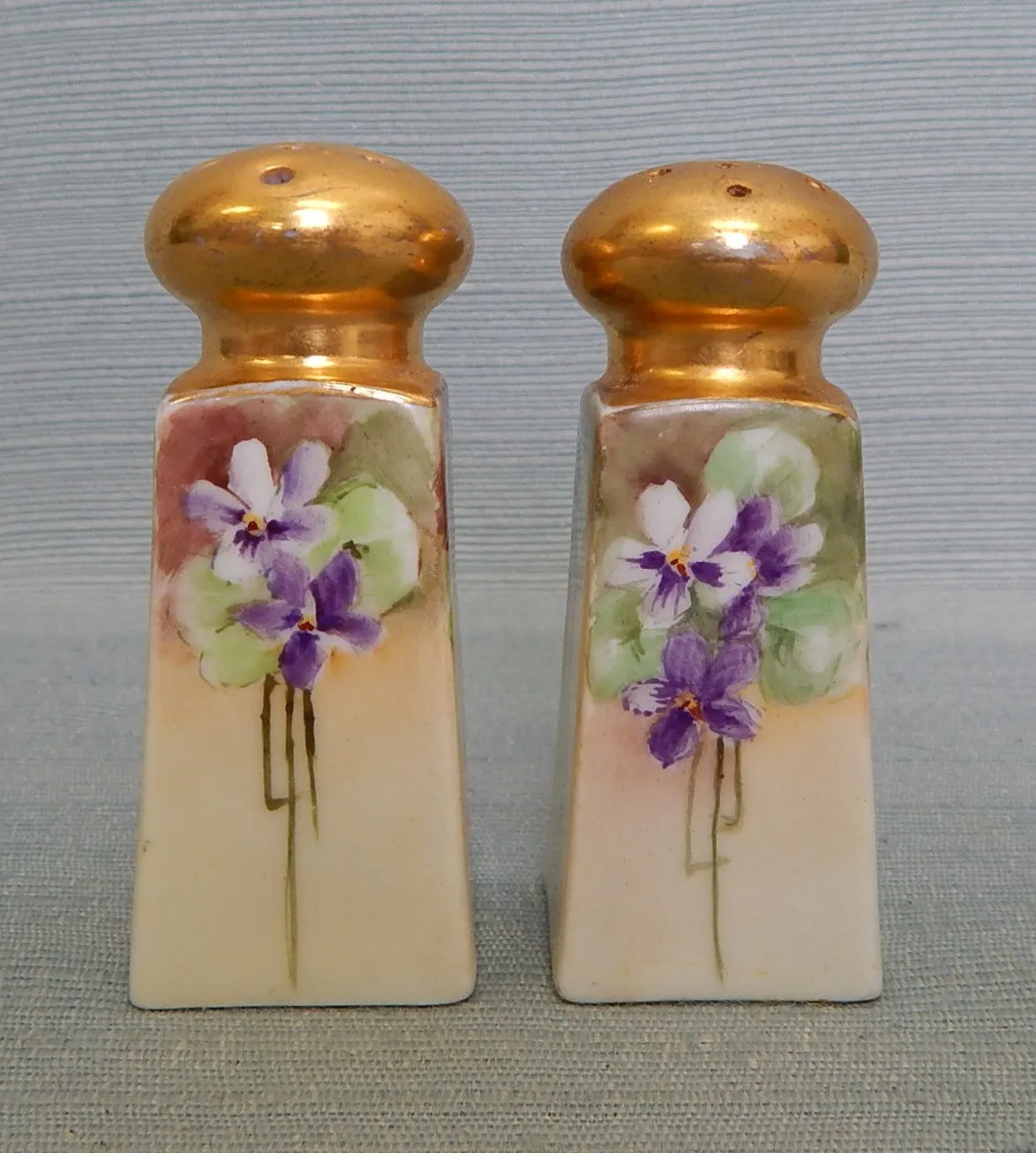 O & EG Royal Austria Salt and Pepper Shakers - Very Good Vintage Condition