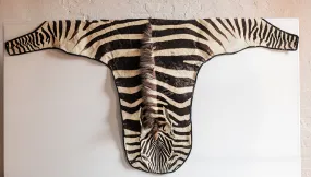 Zebra Hide Skin from Tanzania